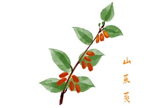 产科护士工作总结及工作计划300字_产科护士工作总结
