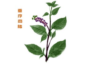 大班常规班级管理心得体会_大班区域活动心得体会简短