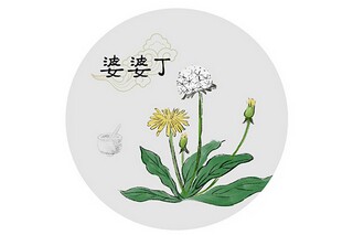 圣诞节活动策划方案参考(圣诞节策划活动方案)