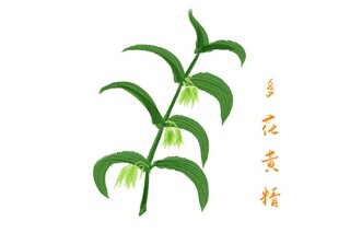 学期体育工作计划_学校学期体育工作计划