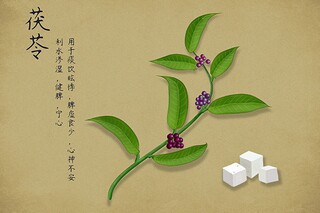 名为我们的夜晚的诗(寂寞的夜晚的诗)