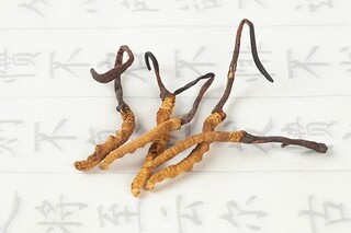 学生会联谊活动策划书_大学生联谊活动策划书