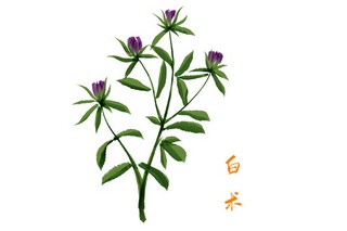 语文公开课《彩色的翅膀》优秀教学设计与说课稿(彩色的翅膀课后习题及答案)