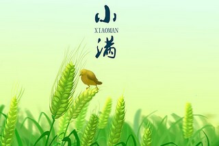 化工专业简历(化工专业简历没东西写怎么办)