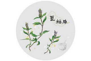 我的最爱——观《变形金刚》有感(变形金刚观后感)