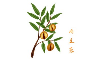 护士简历怎么写才能吸引人_护士简历