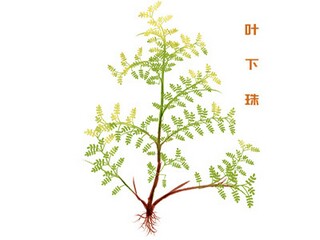 家长听家庭教育讲座心得体会_家庭教育心得体会家长写的