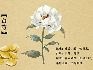 租房子合同该怎么写_租房子合同该怎么写