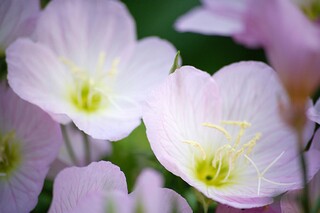 煤矿春节放假期间的应急预案(煤矿春节放假期间注意事项)