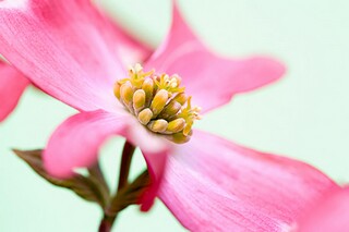 踏青的唯美句子一年级简短_踏青的唯美句子