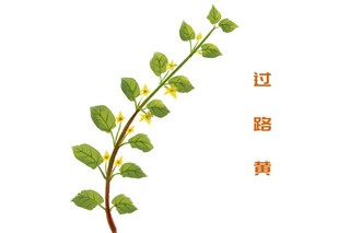 个性自我介绍_个性自我介绍霸气