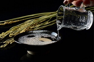 迎夏的句子_迎立夏的经典句子
