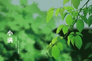 酒水业务员工作总结范文_饮料业务员工作总结