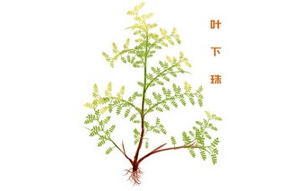 紧急离职申请书_紧急离职申请书