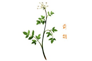 小学游记作文：连云港的海滩(小学作文海边沙滩300字)