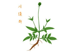 小班绘画活动花_小班绘画活动《彩色气球》教案