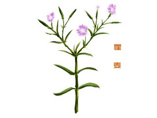 眼镜店员工个人工作计划_眼镜店个人工作计划