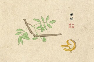 美容院活动方案(美容院活动方案大全)