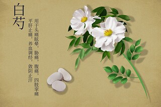 孕妇母婴活动策划_快乐孕妇活动方案