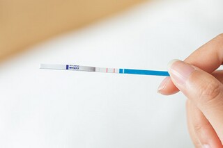 形容亲情相聚分开的句子_表达亲情相聚的句子