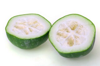 高一上学期生物教学计划(高一上学期生物复习重点)