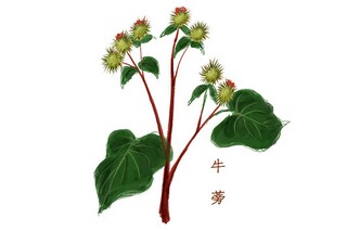 适合春季踏青唯美句子(关于春暖花开踏青优美句子)