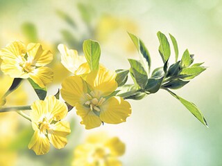 教师节写给老师的话初一_教师节写给老师的话
