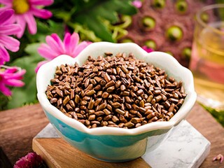 学校植树节的活动方案_少先队植树节活动方案